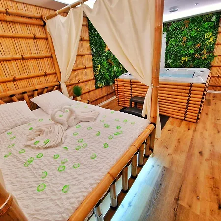Jungle Spa-4 Pers-jacuzzi-parking-jardin-clim-colmar Daire