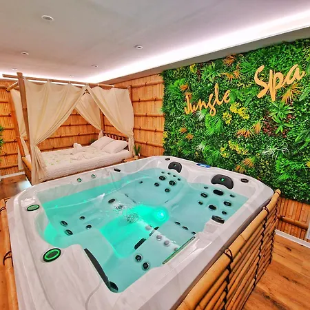 Jungle Spa-4 Pers-jacuzzi-parking-jardin-clim-colmar Appartamento