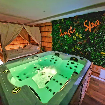 Jungle Spa-4 Pers-jacuzzi-parking-jardin-clim-colmar Appartamento *