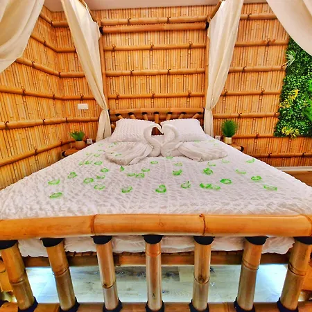 Jungle Spa-4 Pers-jacuzzi-parking-jardin-clim-colmar Muntzenheim