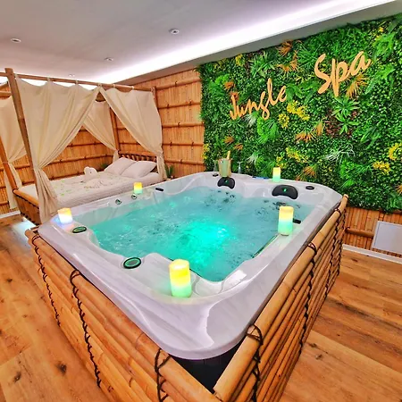 Apartment Jungle Spa-4 Pers-jacuzzi-parking-jardin-clim-colmar Muntzenheim