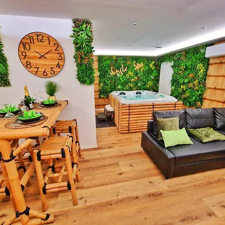 Jungle Spa-4 Pers-jacuzzi-parking-jardin-clim-colmar アパート
