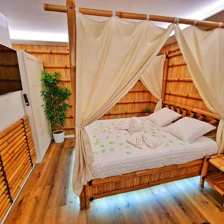 Apartment Jungle Spa-4 Pers-jacuzzi-parking-jardin-clim-colmar