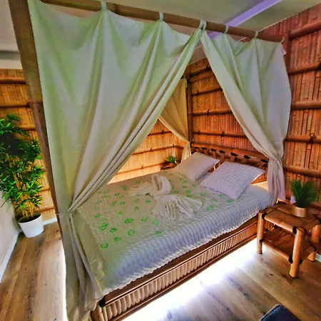 Apartment Jungle Spa-4 Pers-jacuzzi-parking-jardin-clim-colmar