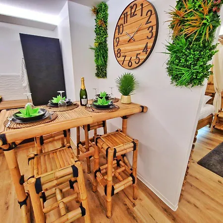 Apartment Jungle Spa-4 Pers-jacuzzi-parking-jardin-clim-colmar