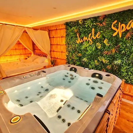 Jungle Spa-4 Pers-jacuzzi-parking-jardin-clim-colmar