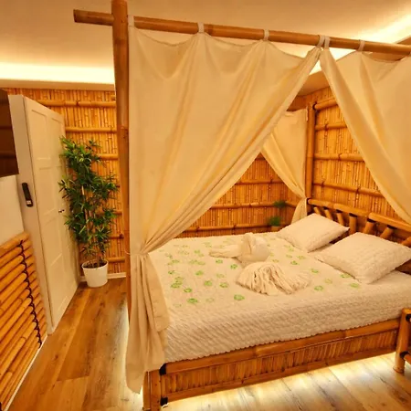Daire Jungle Spa-4 Pers-jacuzzi-parking-jardin-clim-colmar