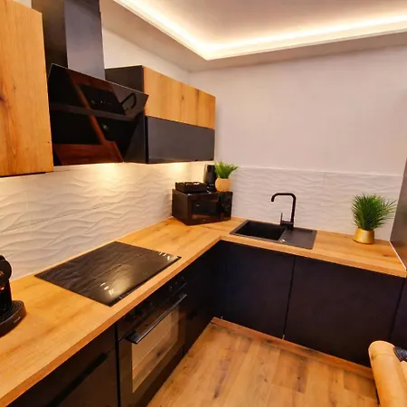 Jungle Spa-4 Pers-jacuzzi-parking-jardin-clim-colmar Daire