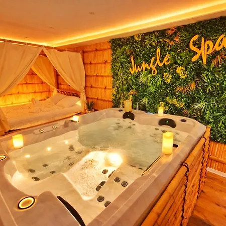 Jungle Spa-4 Pers-jacuzzi-parking-jardin-clim-colmar Daire Muntzenheim