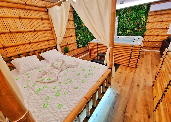 Jungle Spa-4 Pers-jacuzzi-parking-jardin-clim-colmar Daire