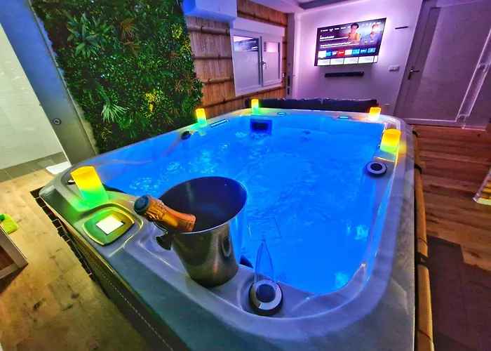 Jungle Spa-4 Pers-jacuzzi-parking-jardin-clim-colmar Daire