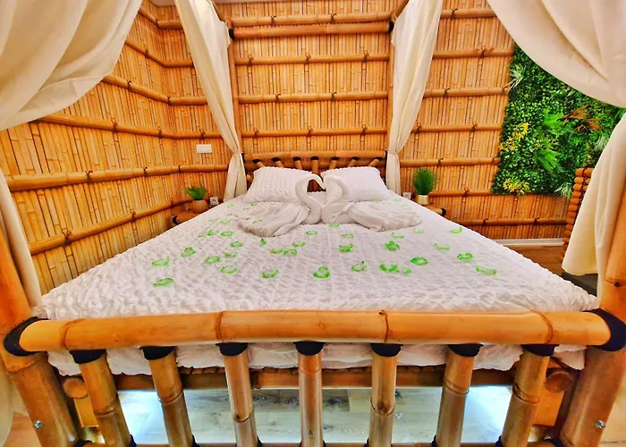 Jungle Spa-4 Pers-jacuzzi-parking-jardin-clim-colmar Muntzenheim