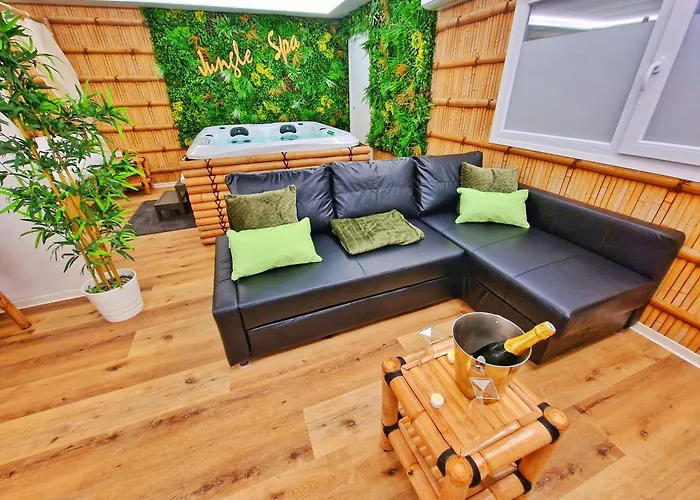 Daire Jungle Spa-4 Pers-jacuzzi-parking-jardin-clim-colmar Muntzenheim
