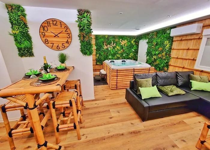 Jungle Spa-4 Pers-jacuzzi-parking-jardin-clim-colmar Daire