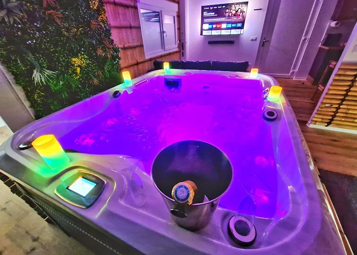 Jungle Spa-4 Pers-jacuzzi-parking-jardin-clim-colmar Daire *
