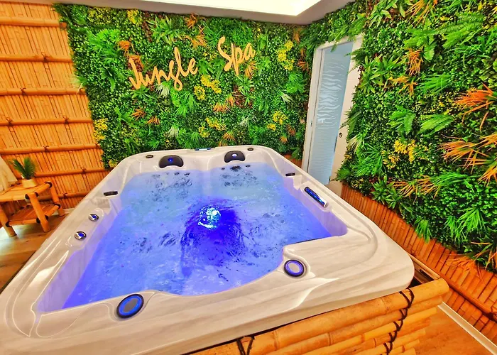 Daire Jungle Spa-4 Pers-jacuzzi-parking-jardin-clim-colmar Muntzenheim