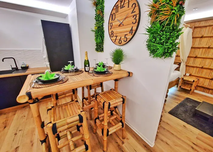 Daire Jungle Spa-4 Pers-jacuzzi-parking-jardin-clim-colmar