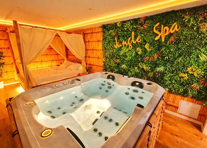 Jungle Spa-4 Pers-jacuzzi-parking-jardin-clim-colmar