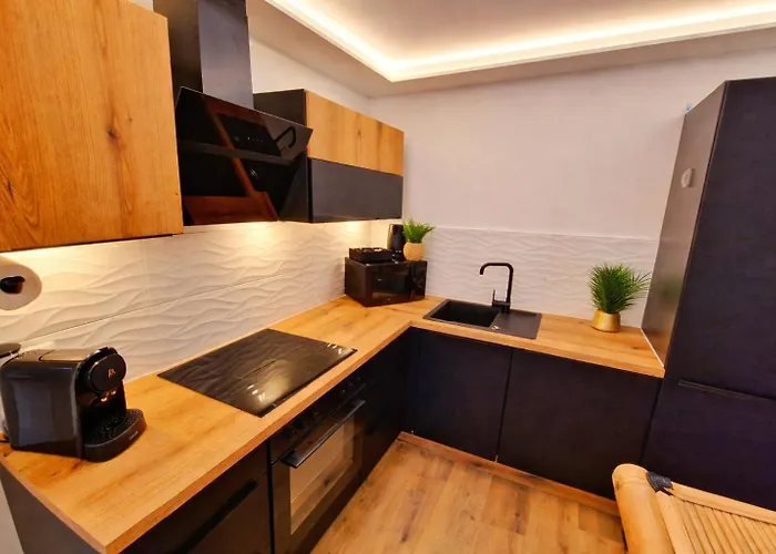 Jungle Spa-4 Pers-jacuzzi-parking-jardin-clim-colmar Daire