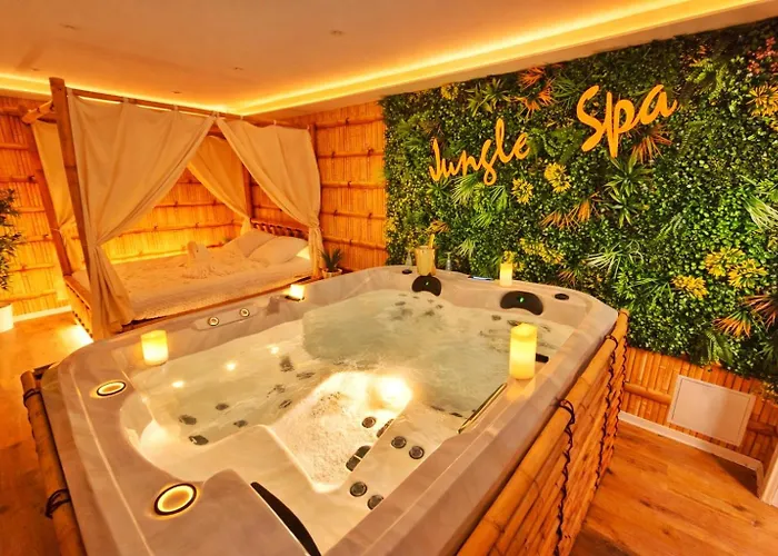Jungle Spa-4 Pers-jacuzzi-parking-jardin-clim-colmar Daire Muntzenheim